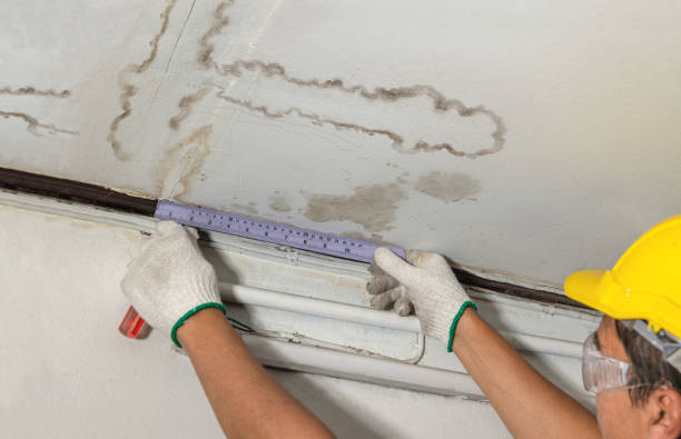Reliable Structural Drying contractor in Blanchard, MI by Water Damage Irwin